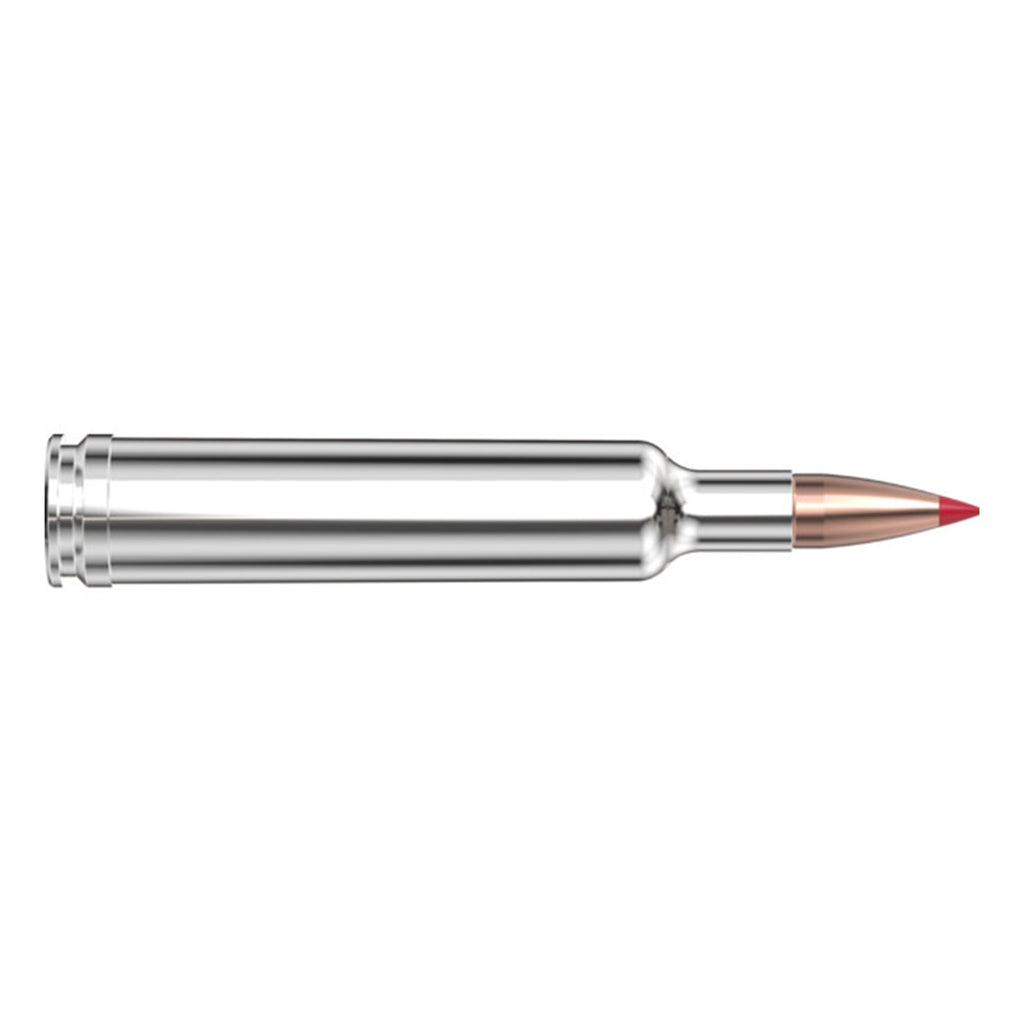 257 Wby Mag 90gr CX OTF