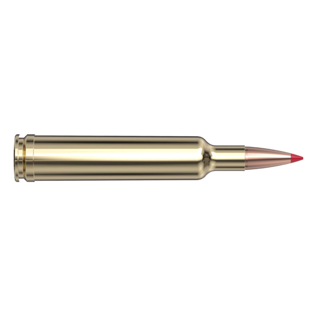 257 Wby Mag 110gr ELD-X
