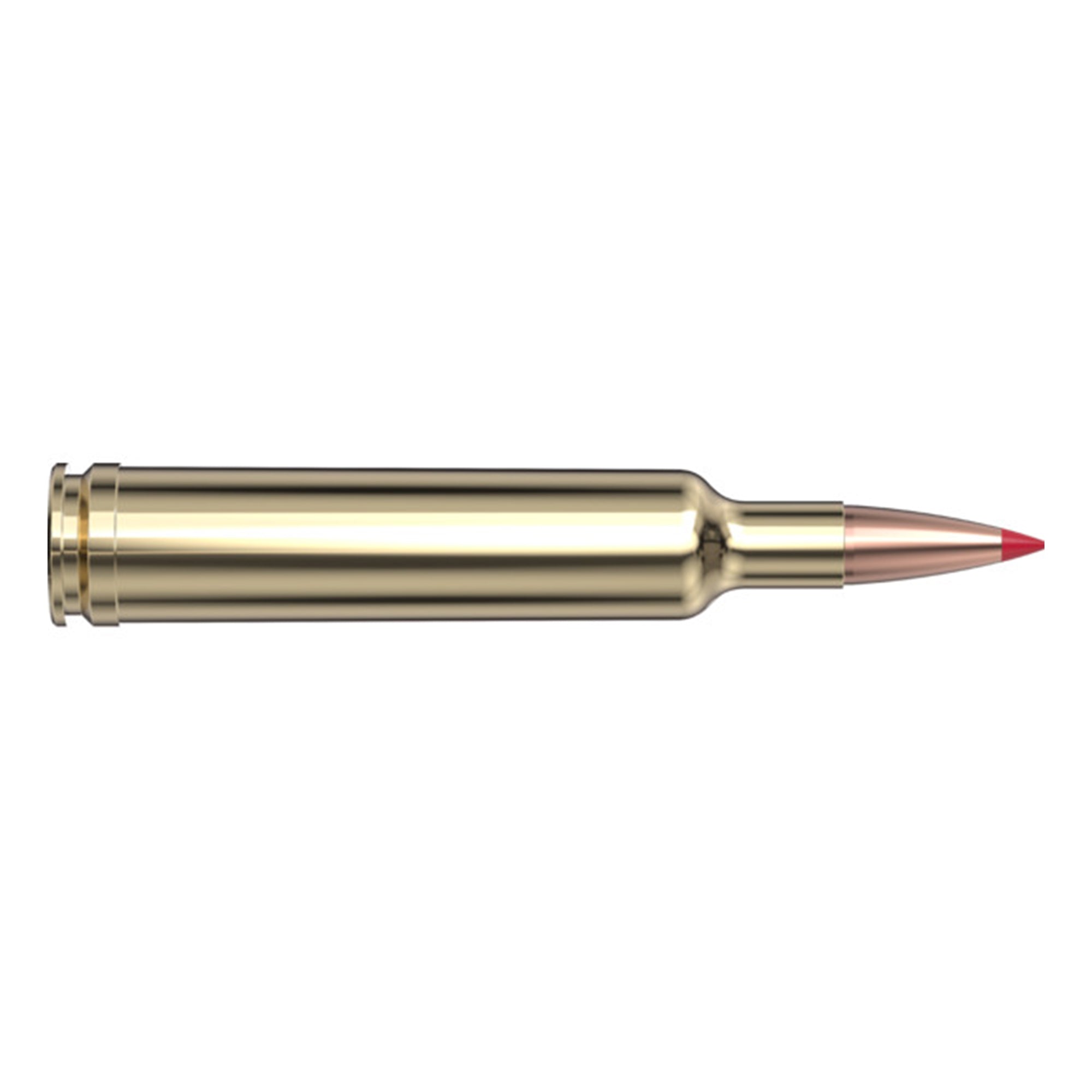 257 Wby Mag 110gr ELD-X