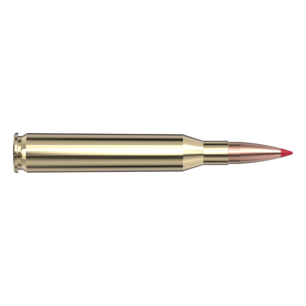 25-06 Rem 110gr ELD-X