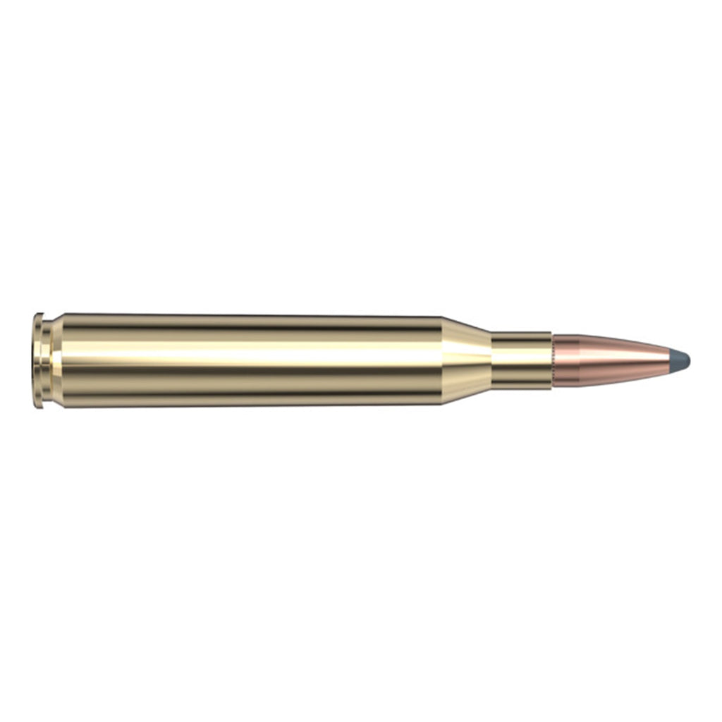 25-06 Rem 117gr BTSP Aw
