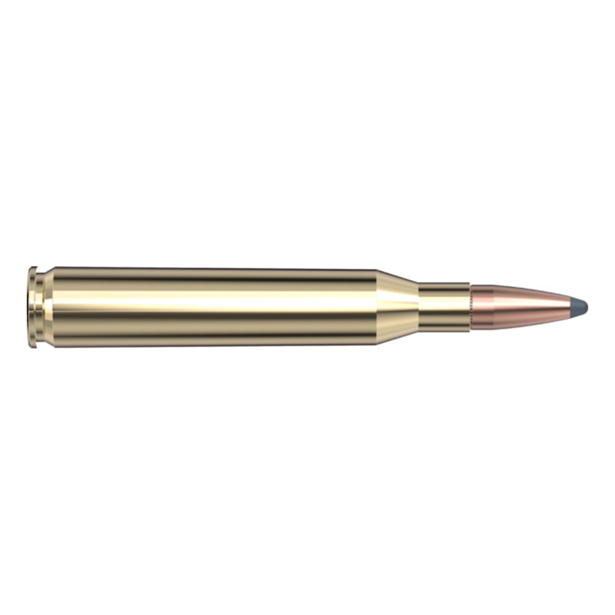 25-06 Rem 117gr BTSP Aw