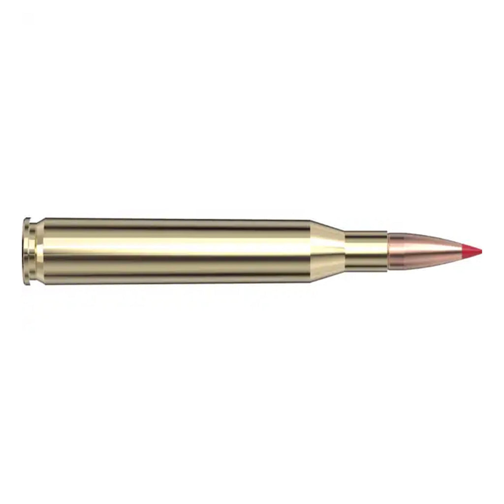 25-06 Rem 90gr CX SPF