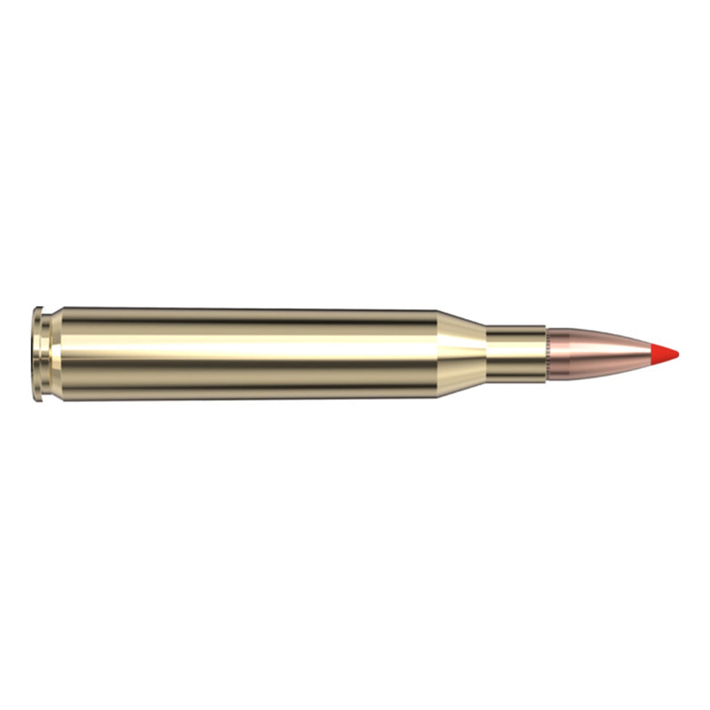 25-06 Rem 117gr SST SPF