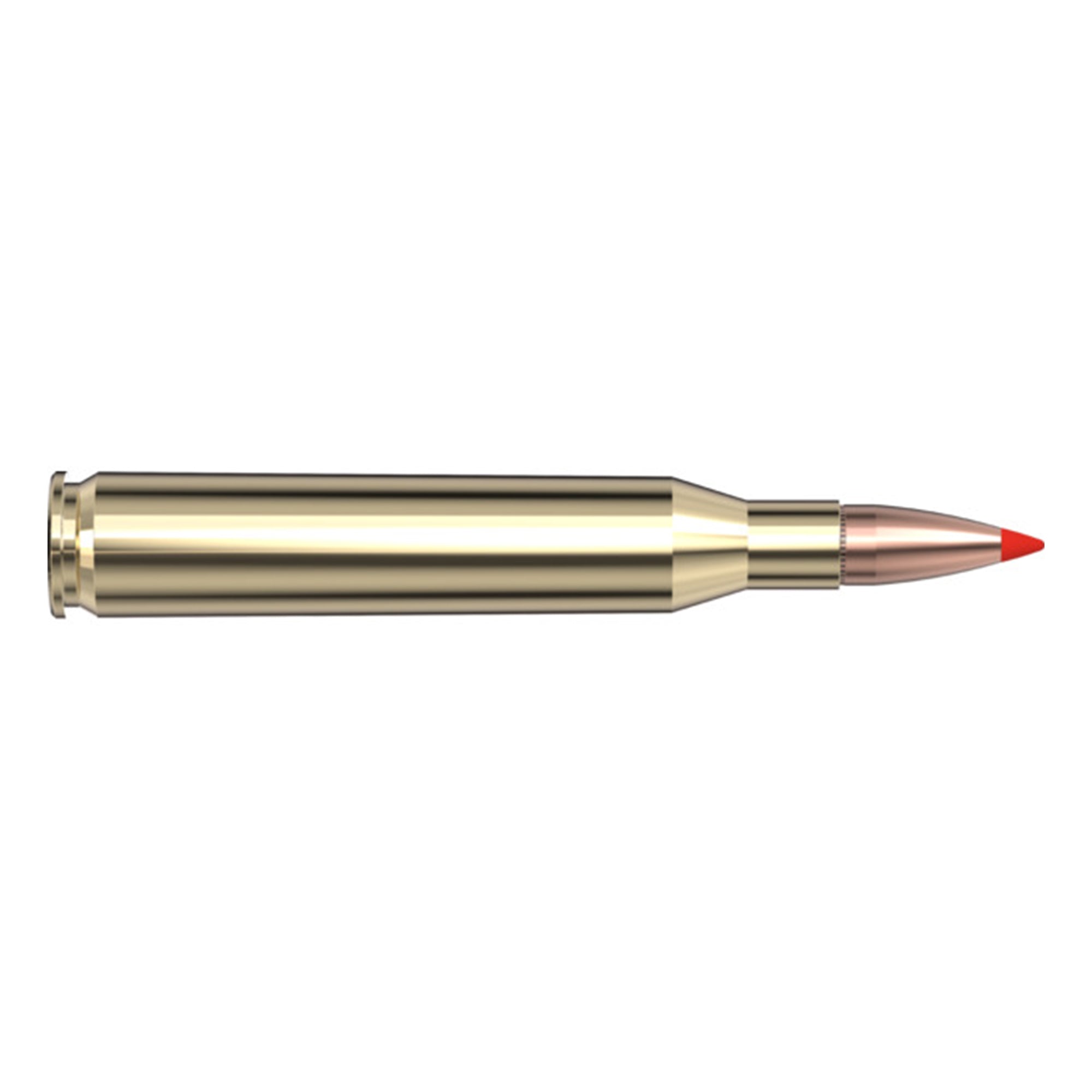 25-06 Rem 117gr SST SPF