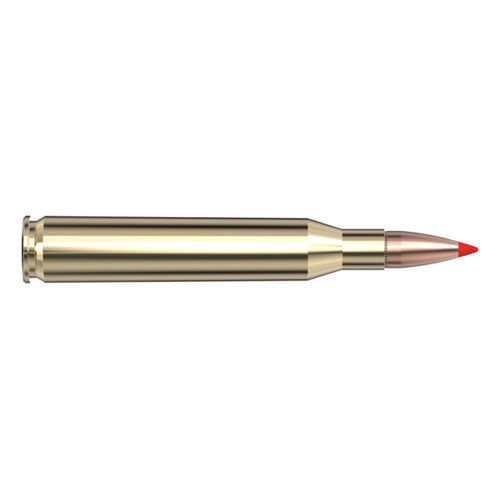 25-06 Rem 117gr SST SPF