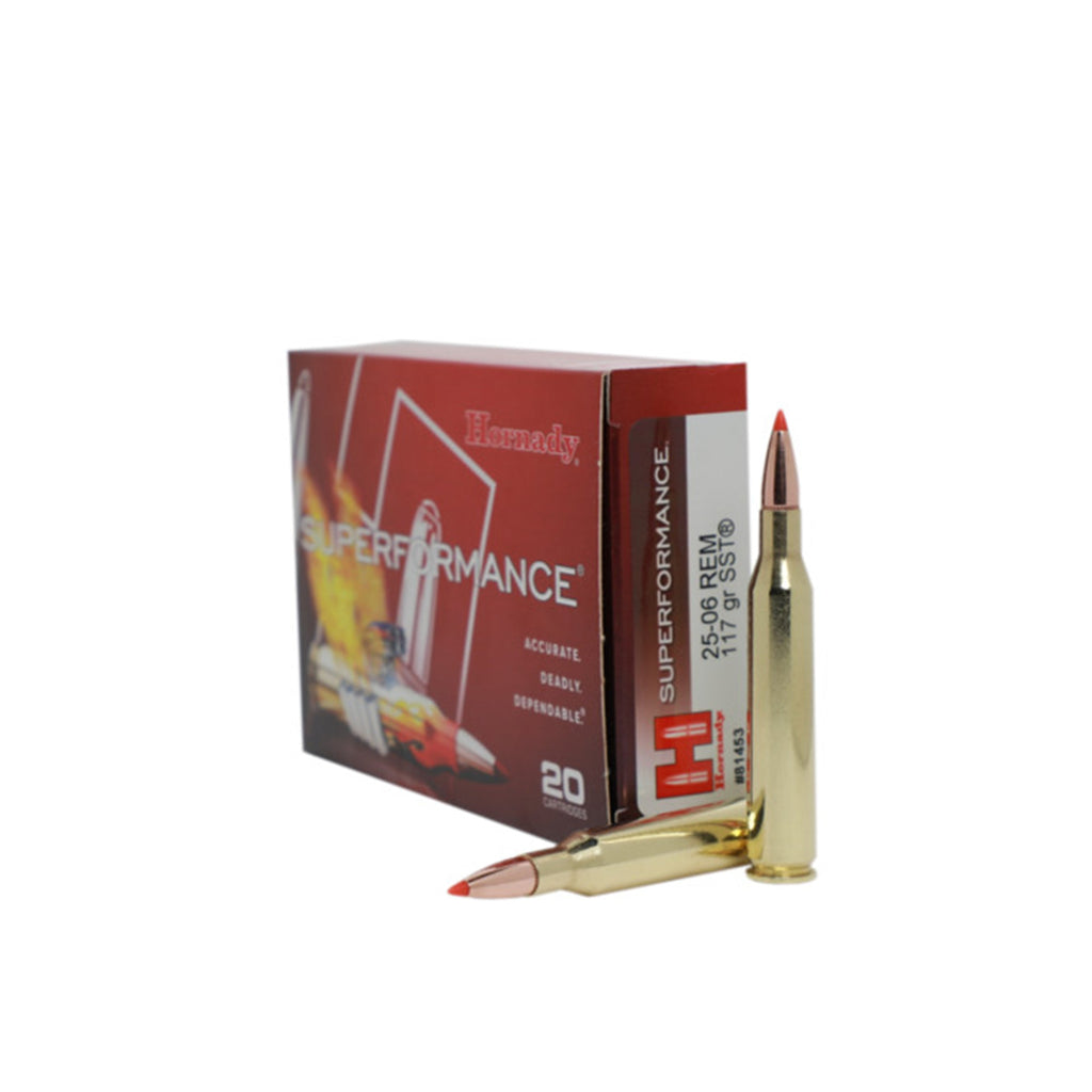 25-06 Rem 117gr SST SPF