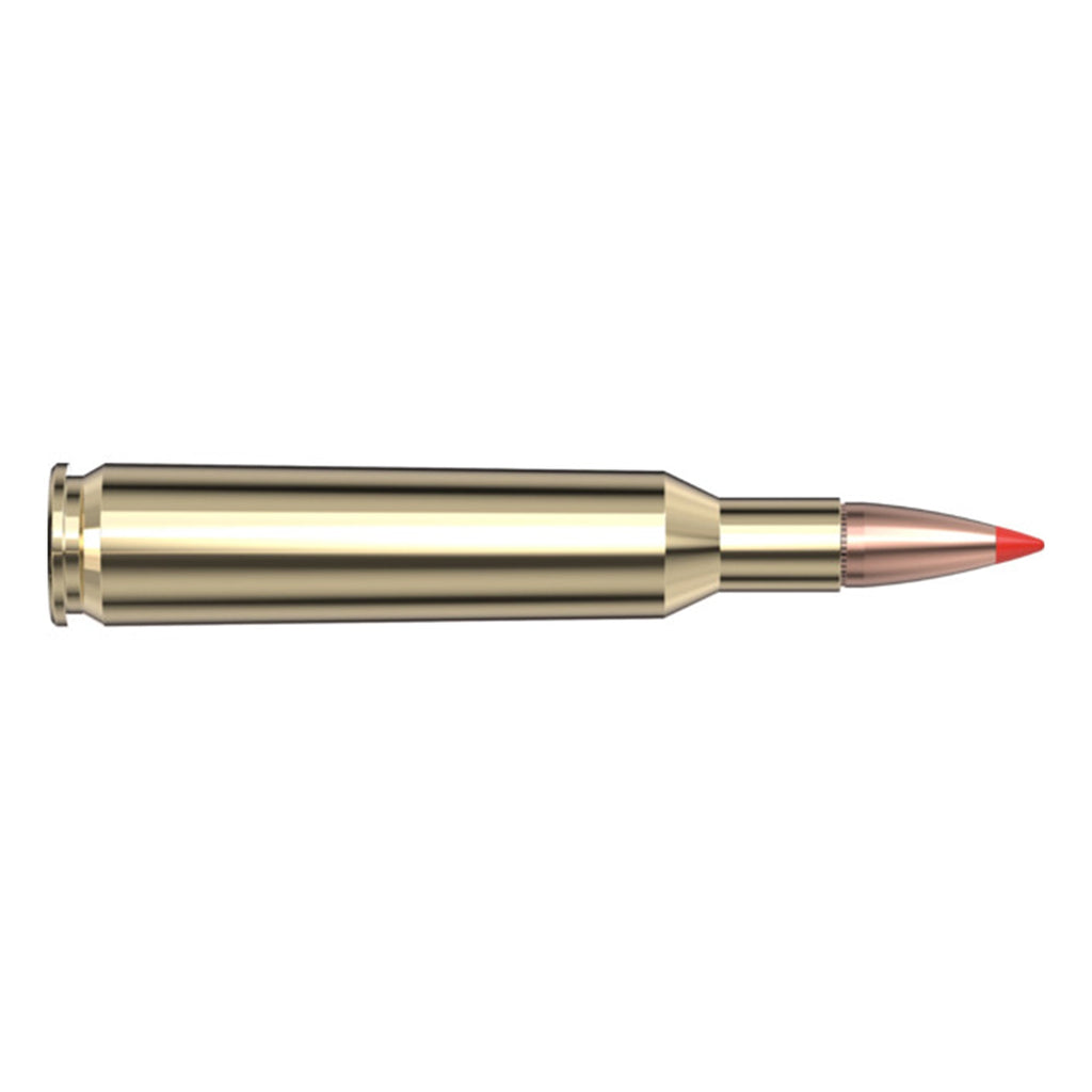 6mm Rem 95gr SST SPF