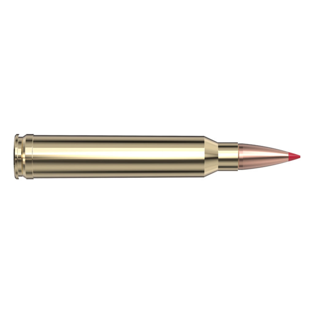 300 Win Mag 165gr CX SPF