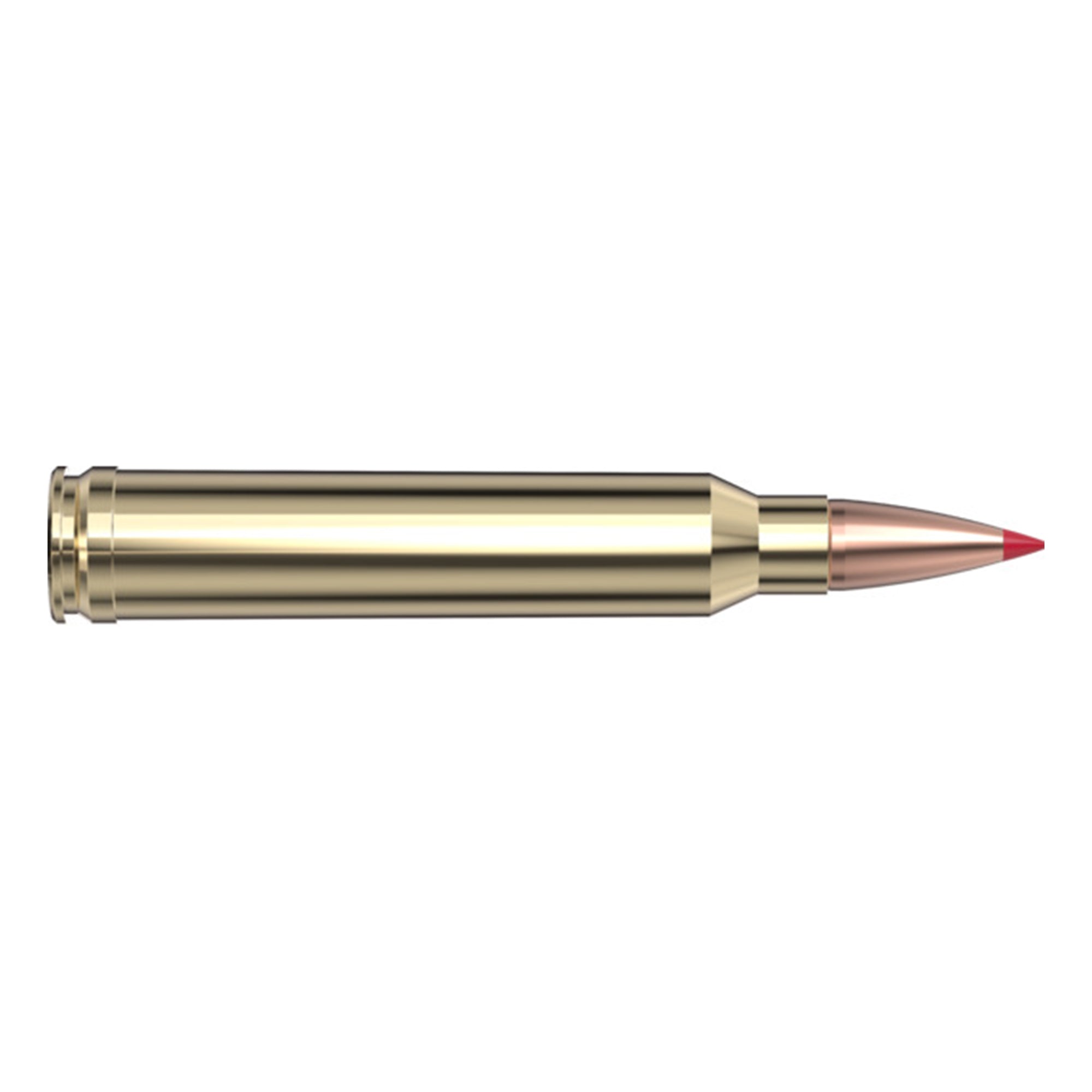 300 Win Mag 165gr CX SPF