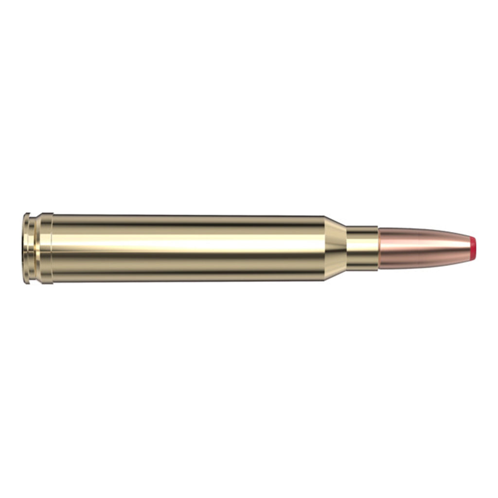 300 Win Mag 165gr ECX