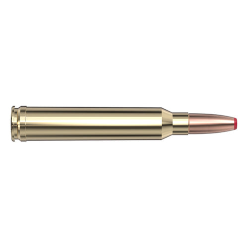 300 Win Mag 165gr ECX