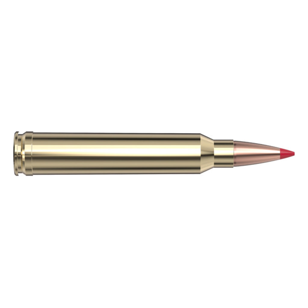 300 Win Mag 178gr ELD-X