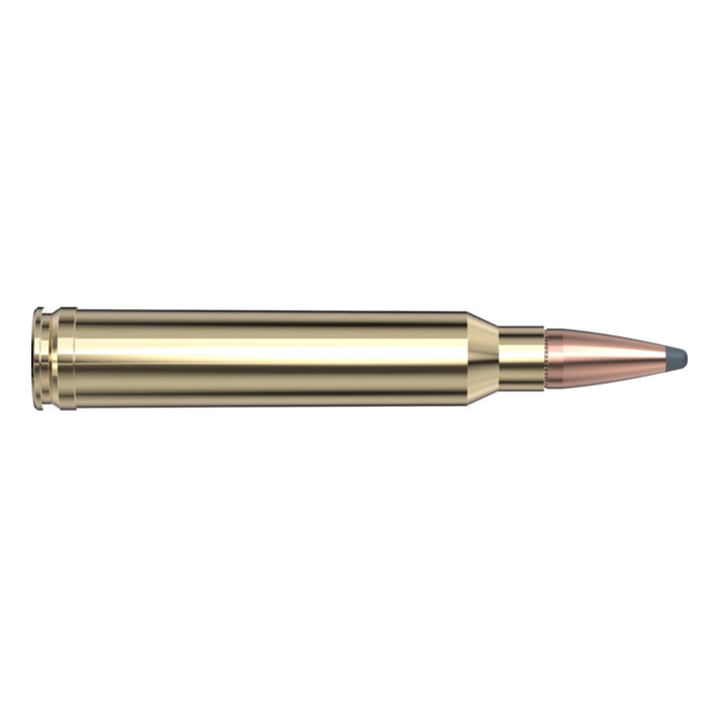 300 Win Mag 180gr Interlock AW