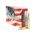 300 Win Mag 180gr Interlock AW