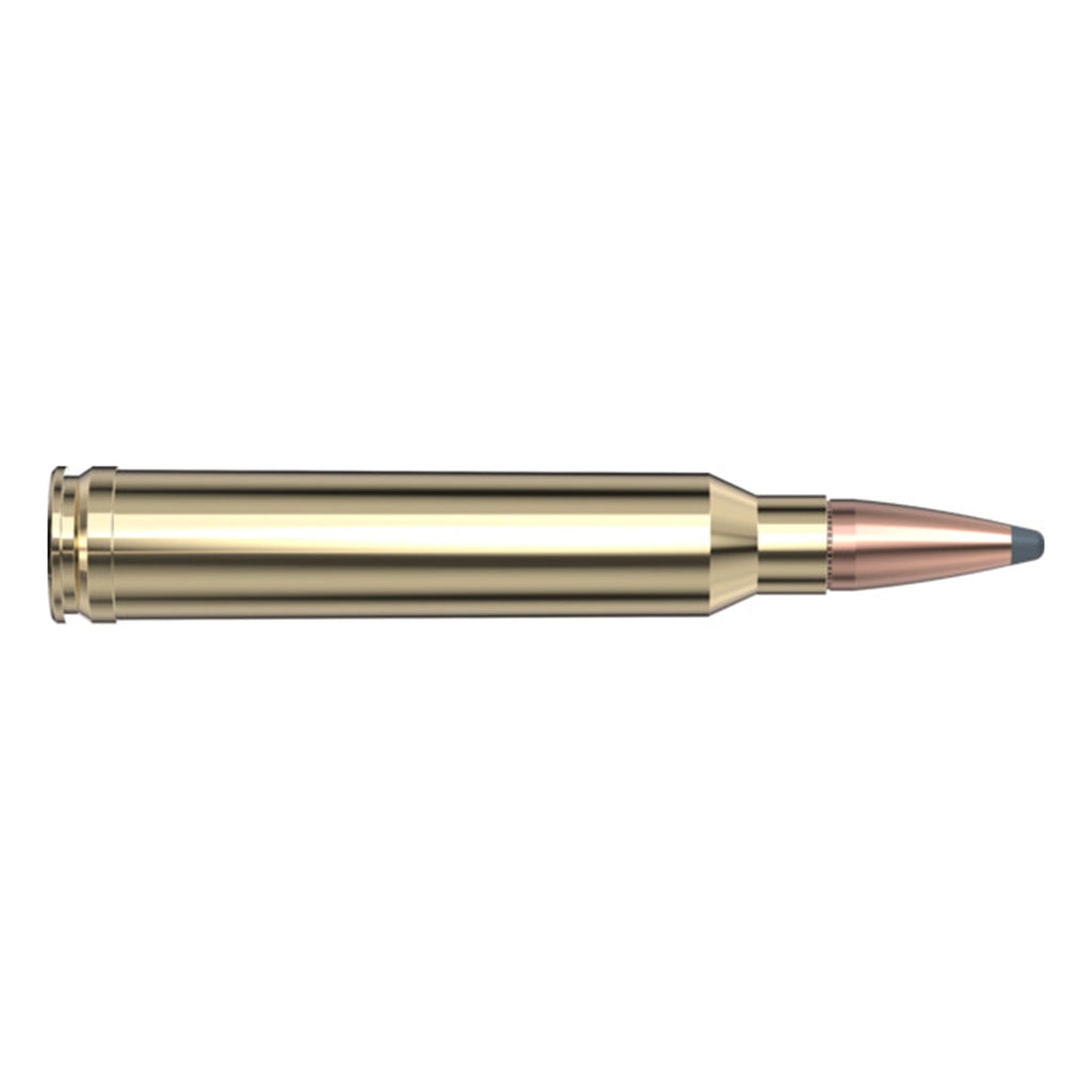 300 Win Mag180gr SP In