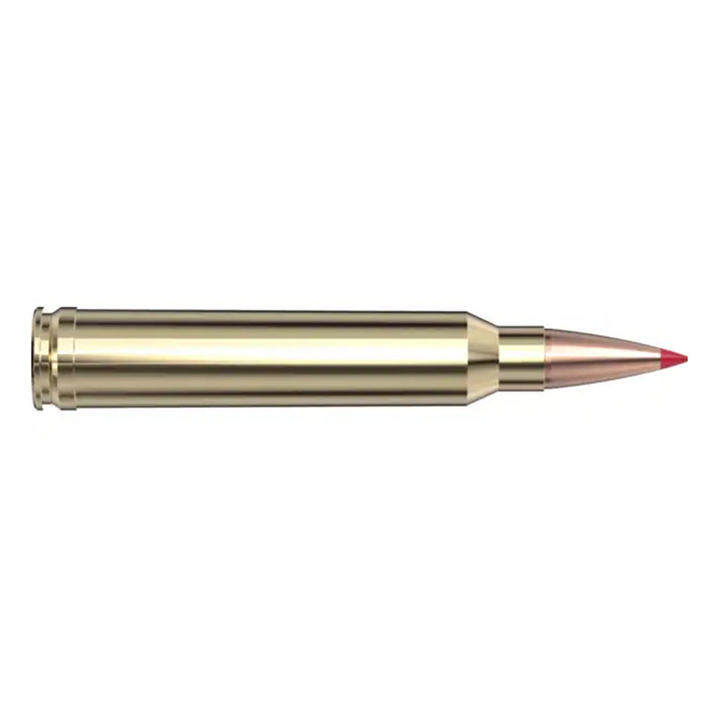 300 Win Mag 195gr ELD Match