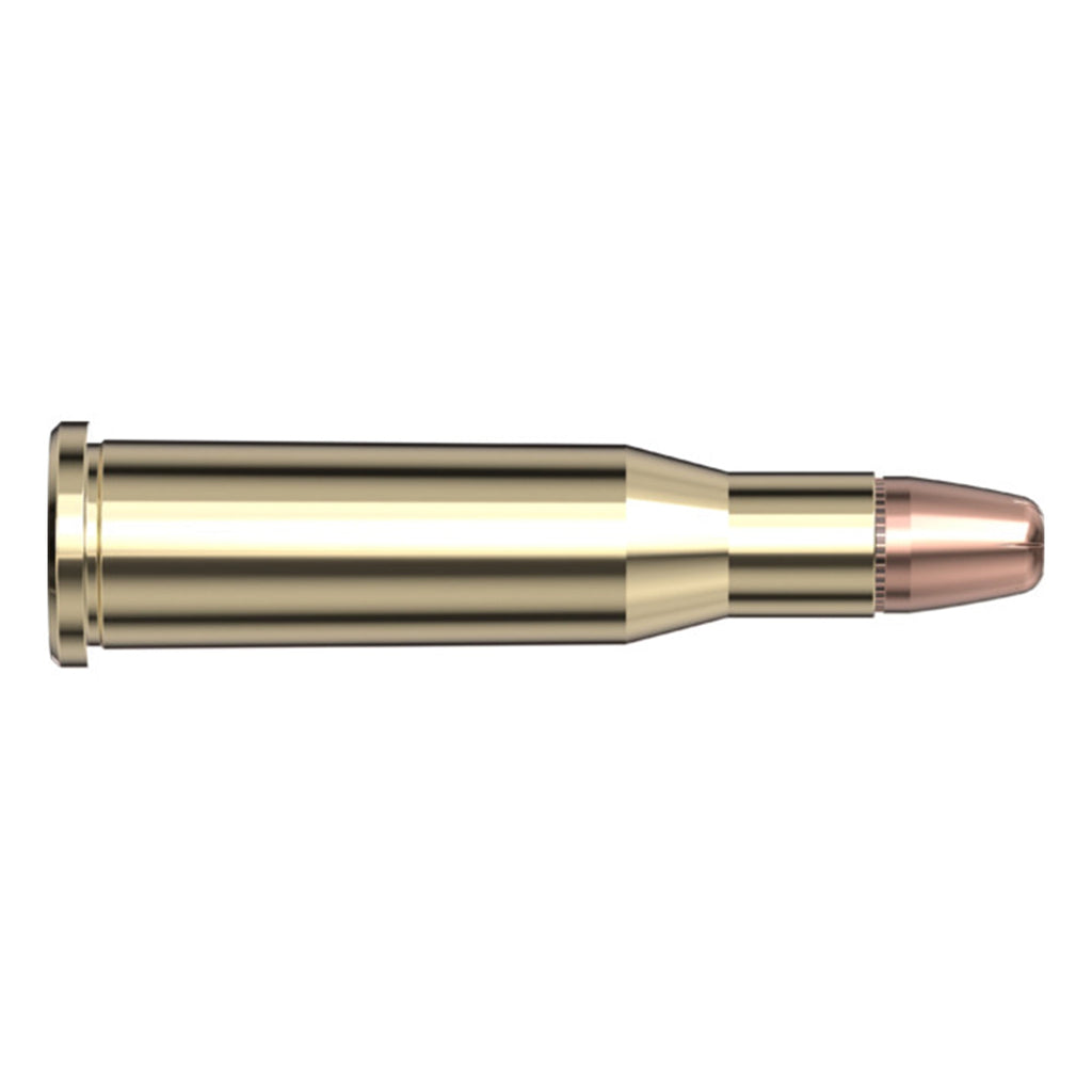 218 Bee 45gr HP