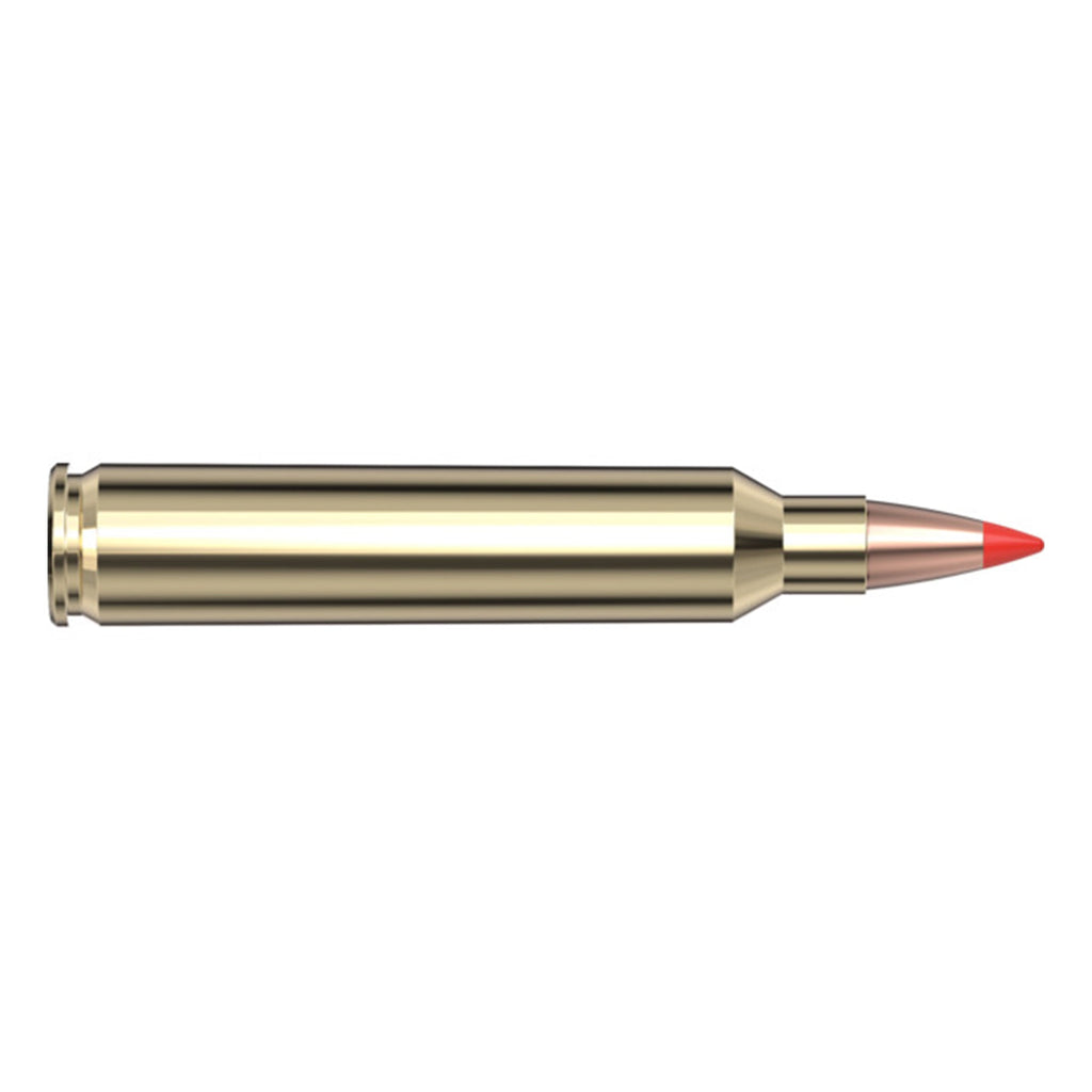 204 40gr V-Max