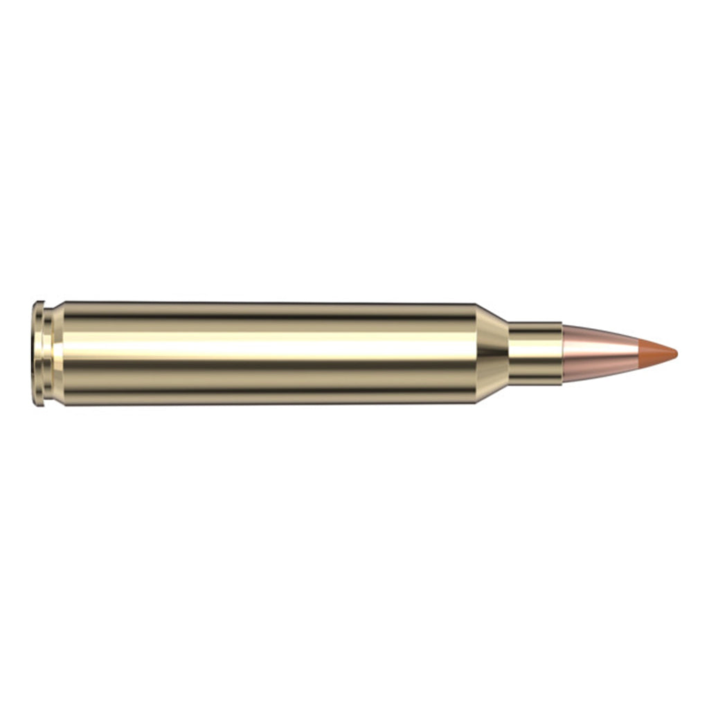204 24gr NTX SPF