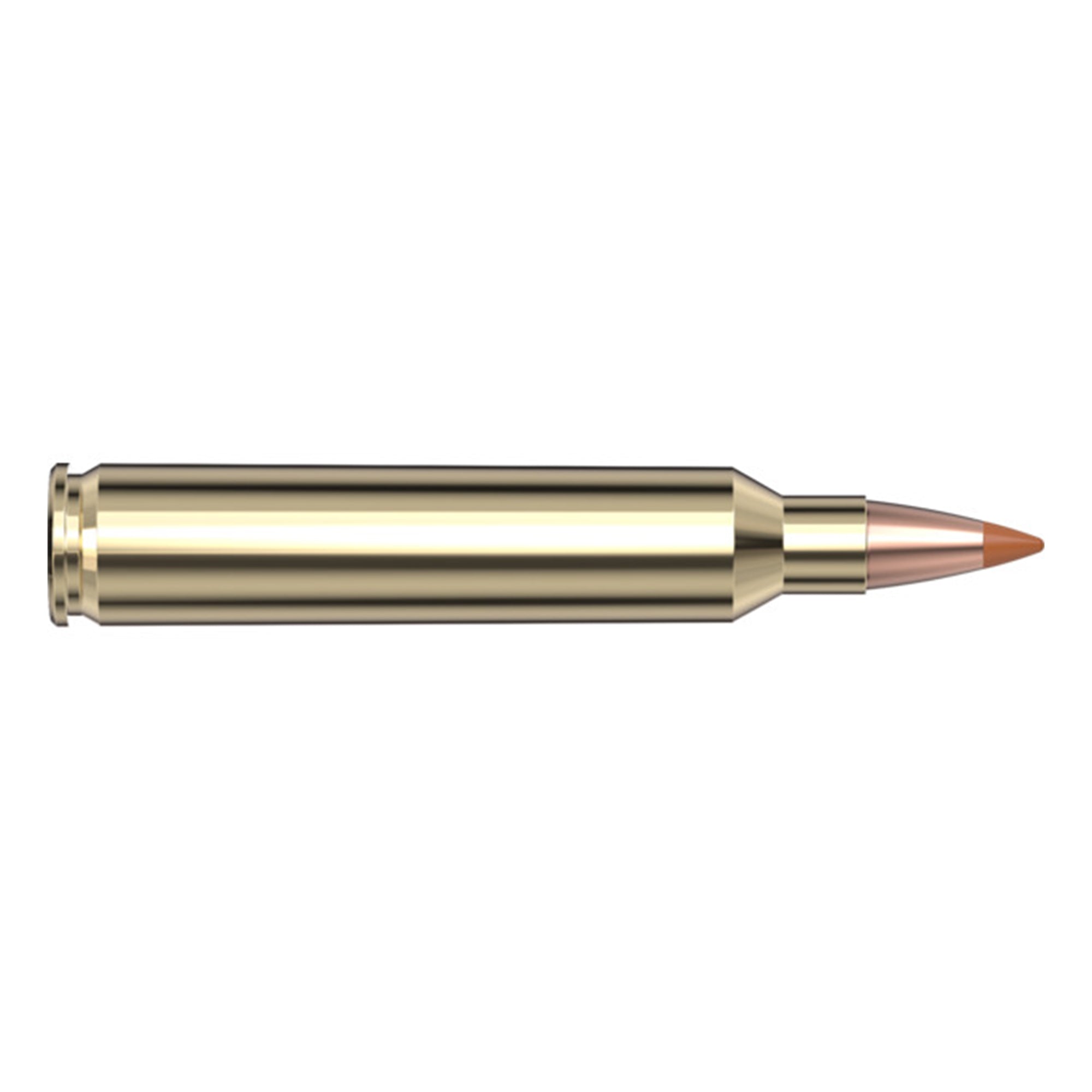 204 24gr NTX SPF
