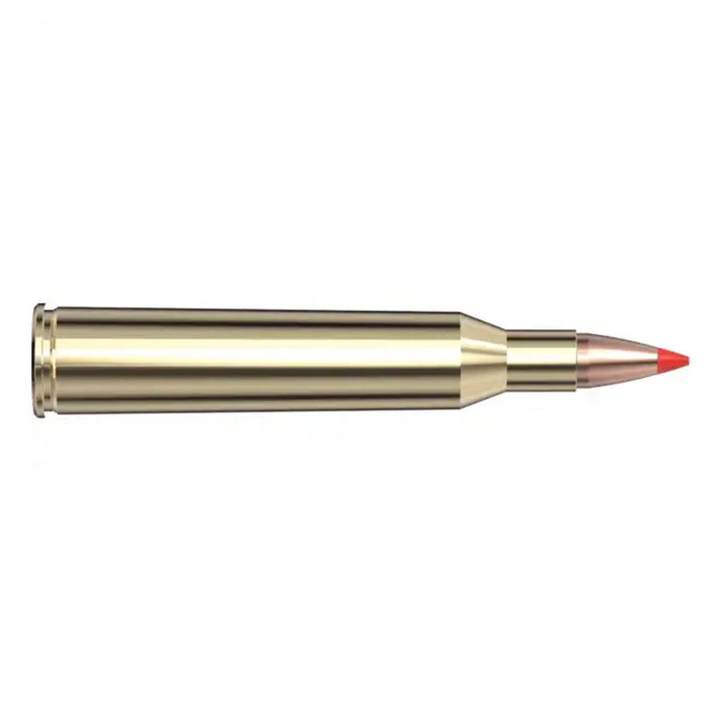 220 Swift 55gr V-Max