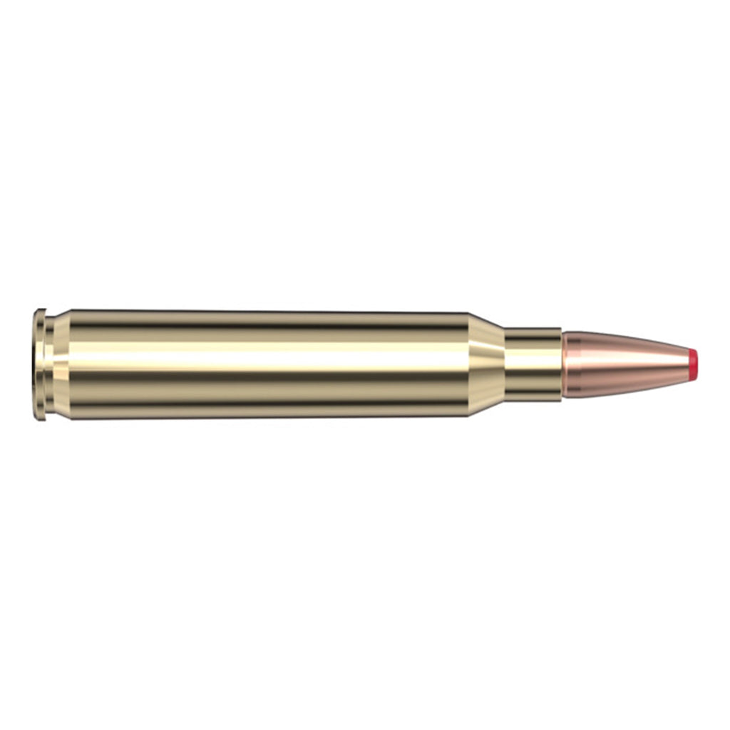 223 Rem 50gr ECX