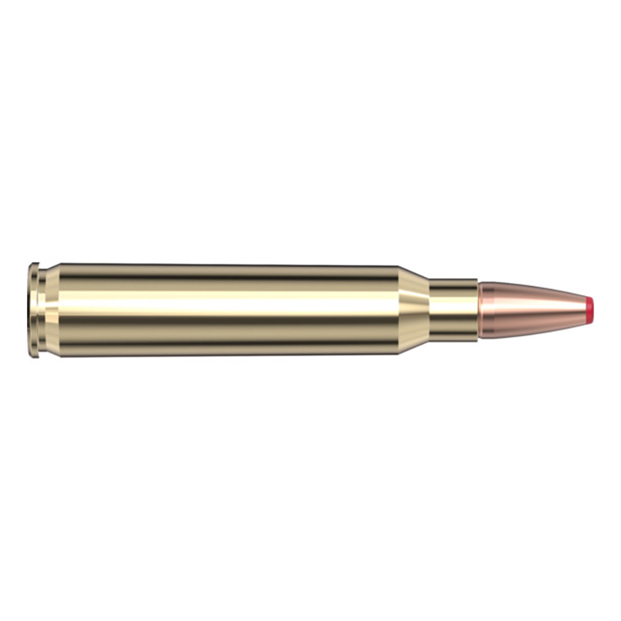223 Rem 50gr ECX