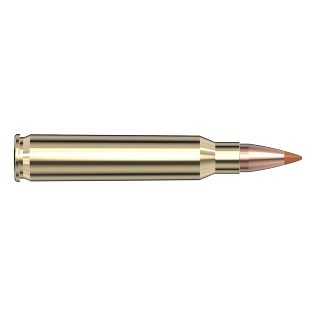 223 Rem 35gr NTX SPF