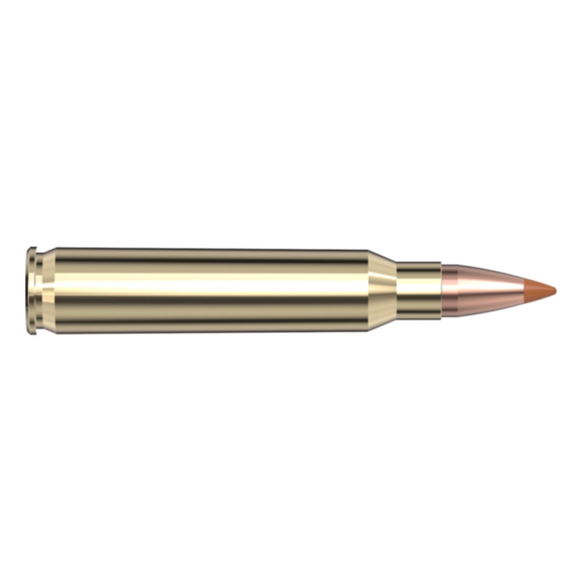 223 Rem 35gr NTX SPF