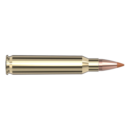 223 Rem 35gr NTX SPF