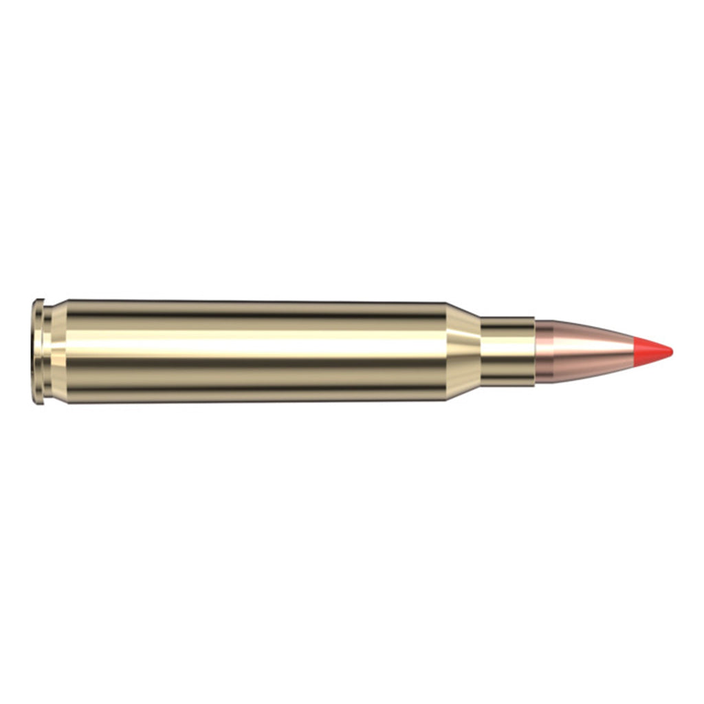 223 Rem 55gr VX