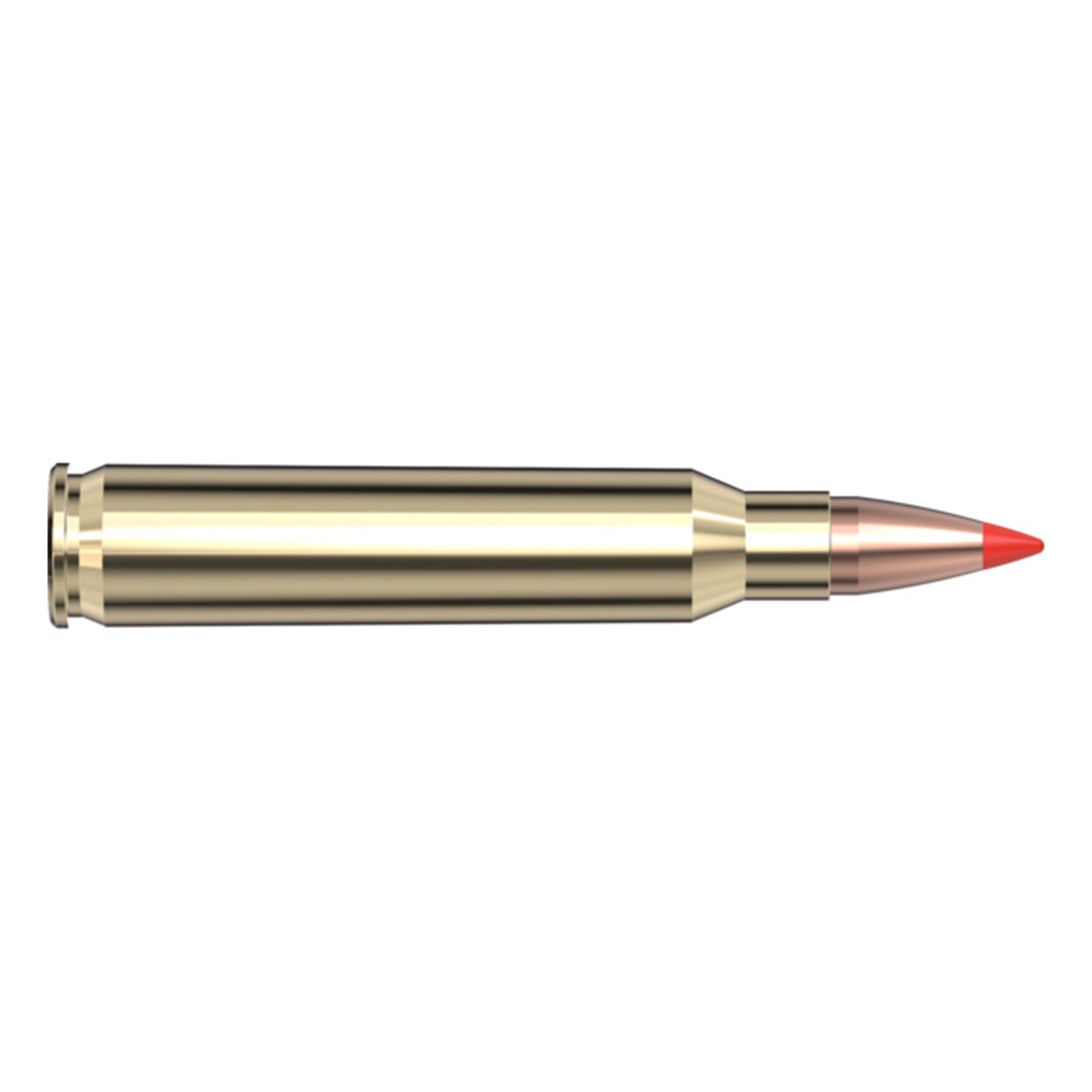 223 Rem 55gr VX