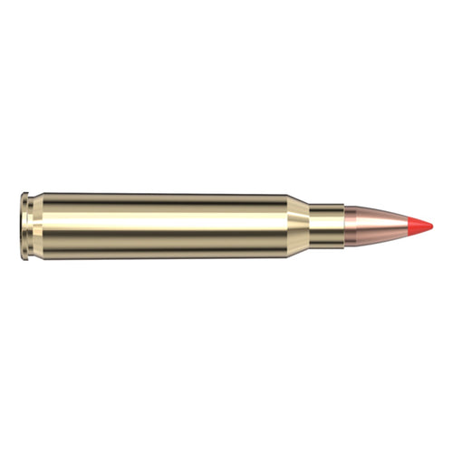 223 Rem 55gr VX