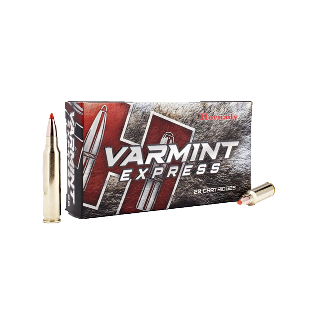 223 Rem 55gr VX