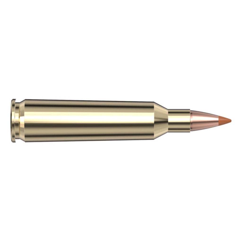 22-250 35gr NTX SPF