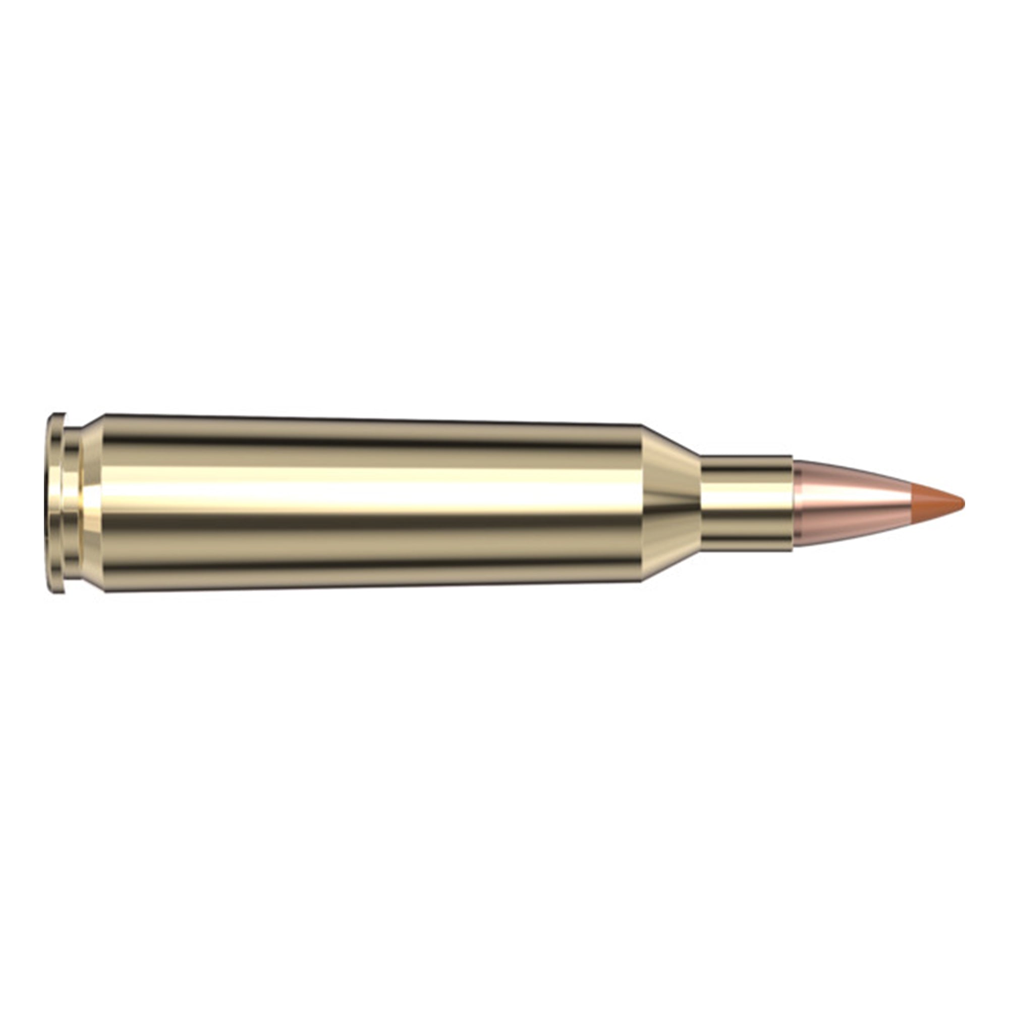 22-250 35gr NTX SPF