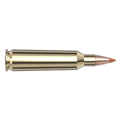 22-250 35gr NTX SPF