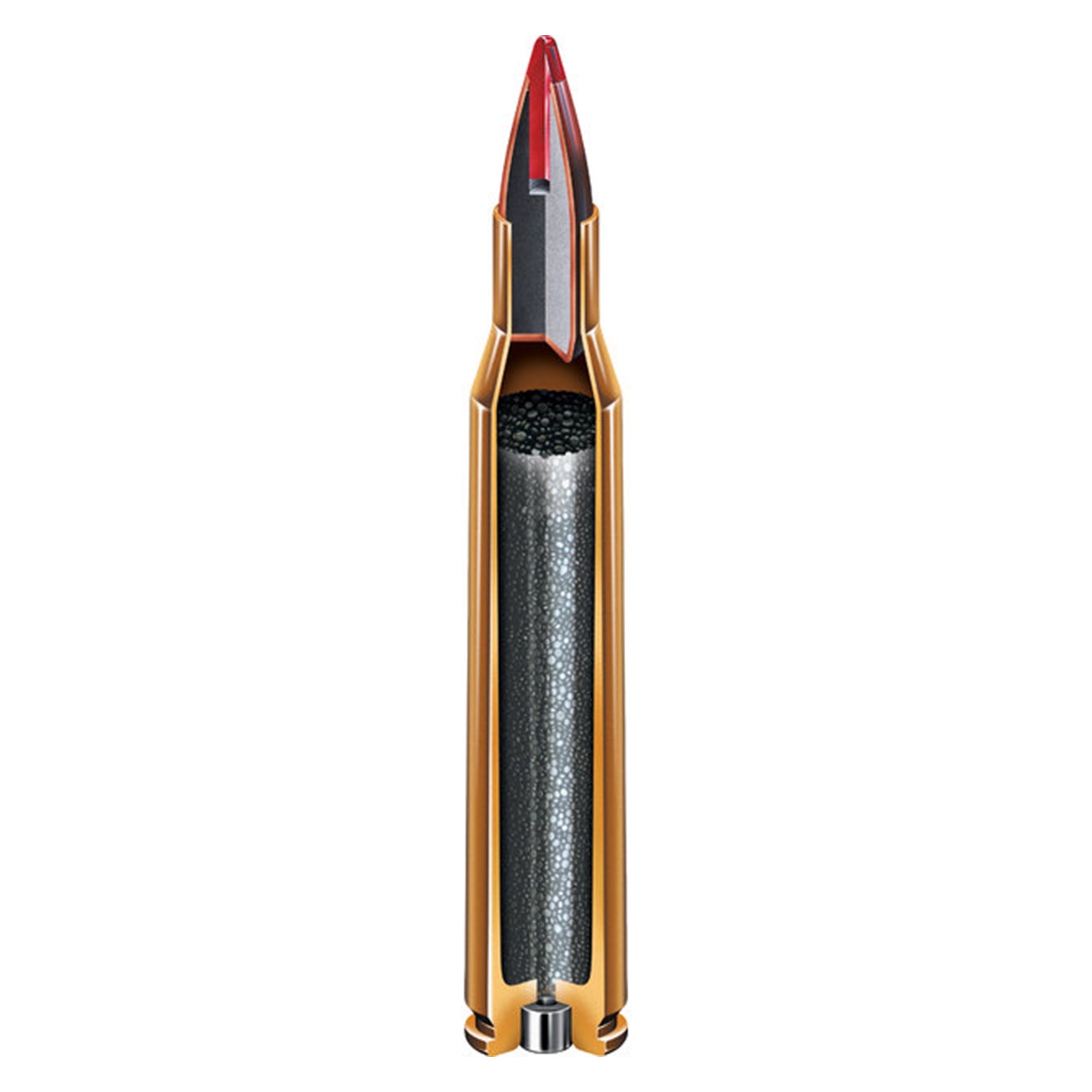 22-250 35gr NTX SPF