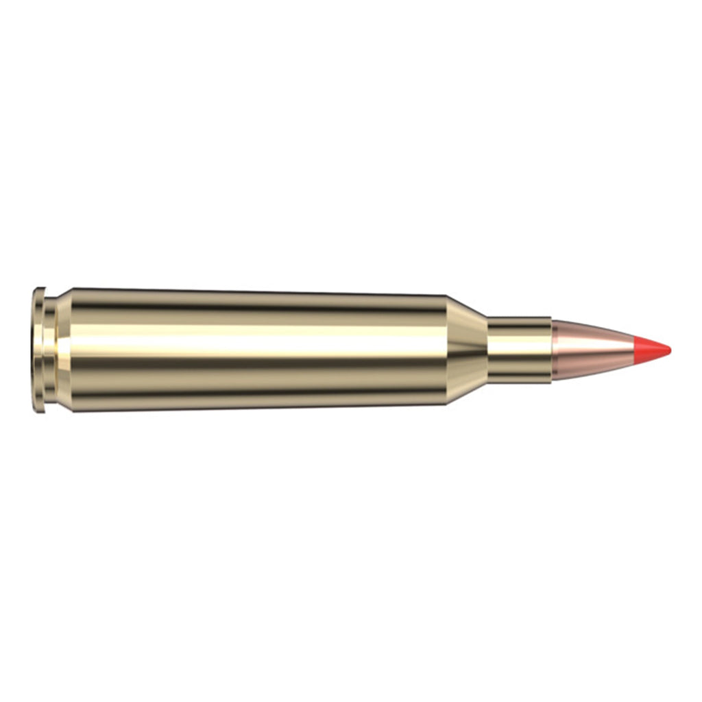 22-250 Rem 50gr VX