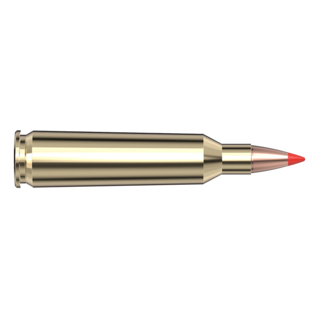 22-250 Rem 50gr V-Max SPF