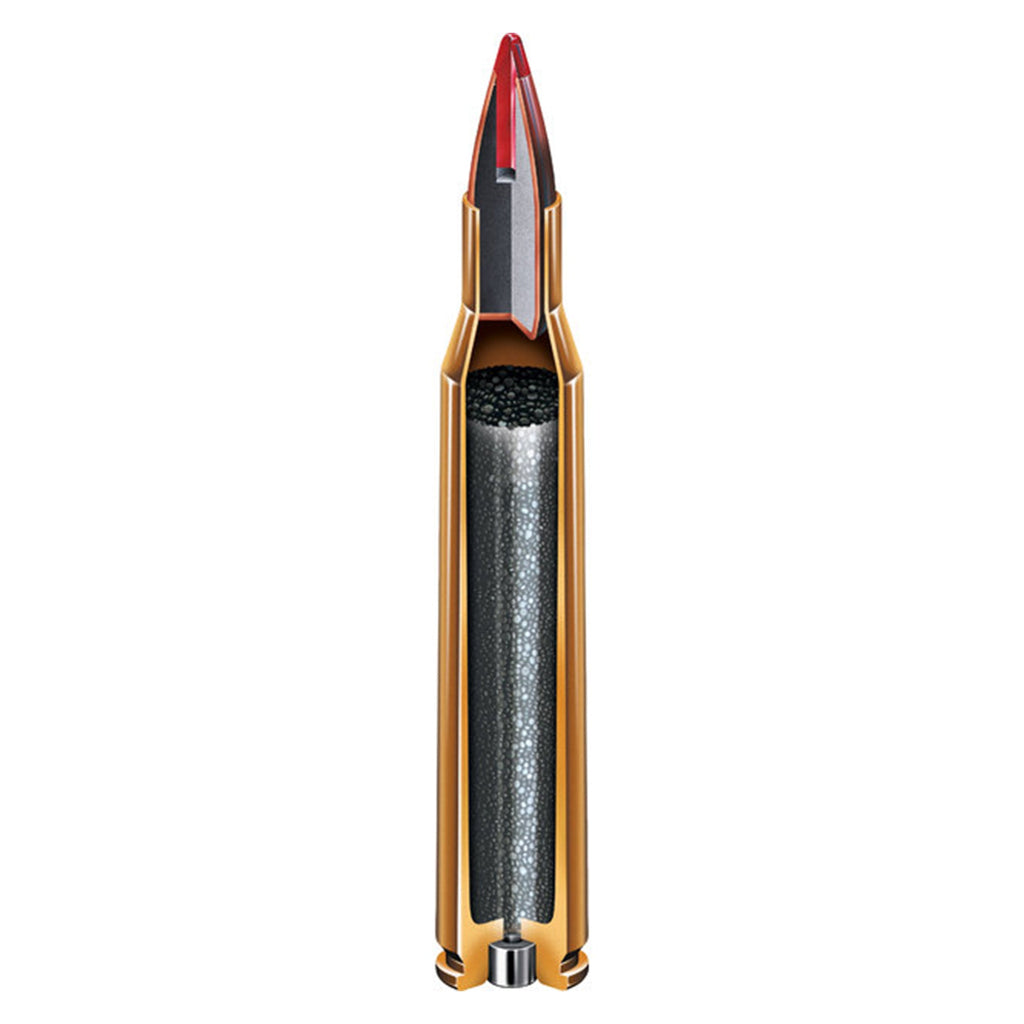 22-250 Rem 50gr VX