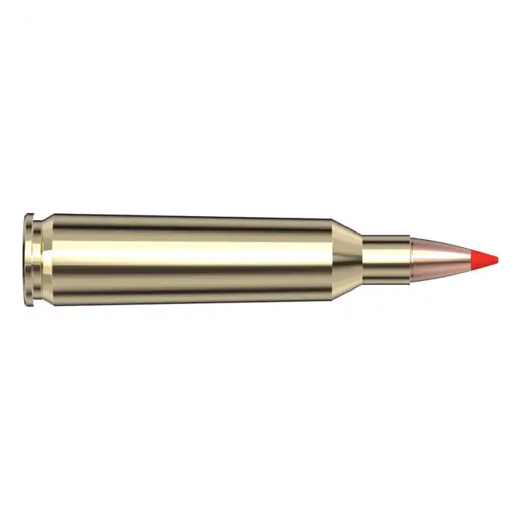 22-250 Rem 55gr VX