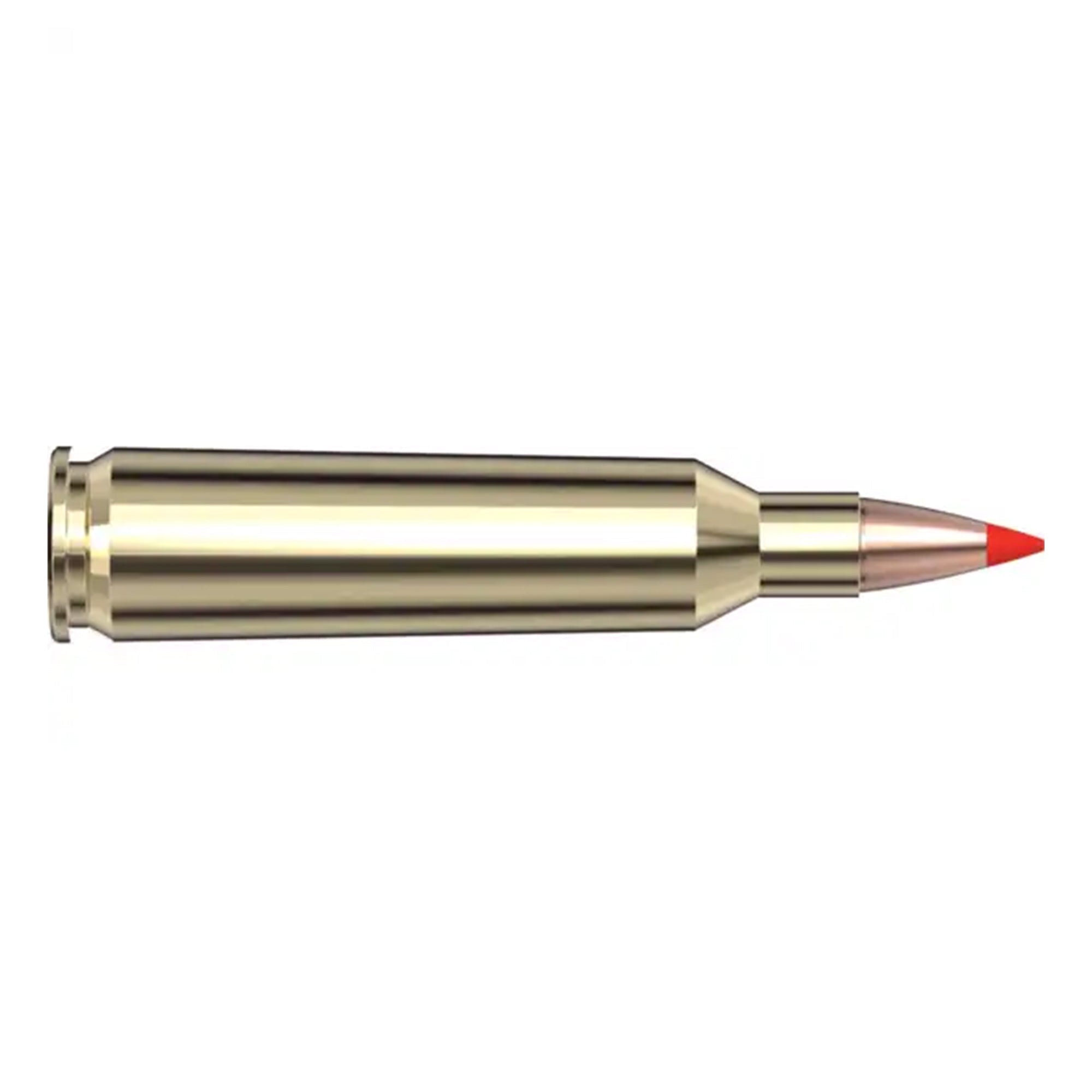 22-250 Rem 55gr VX