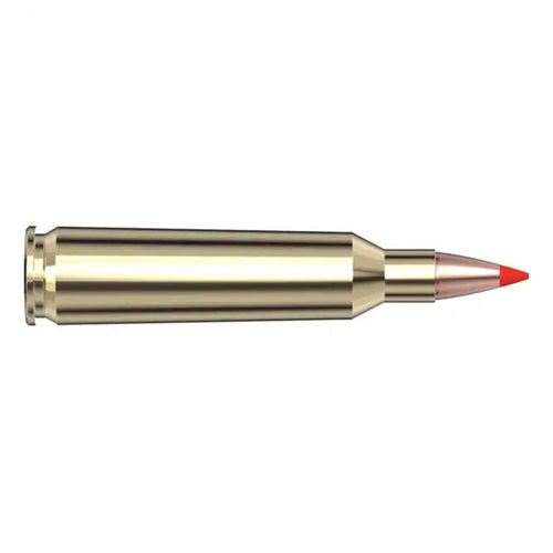 22-250 Rem 55gr VX