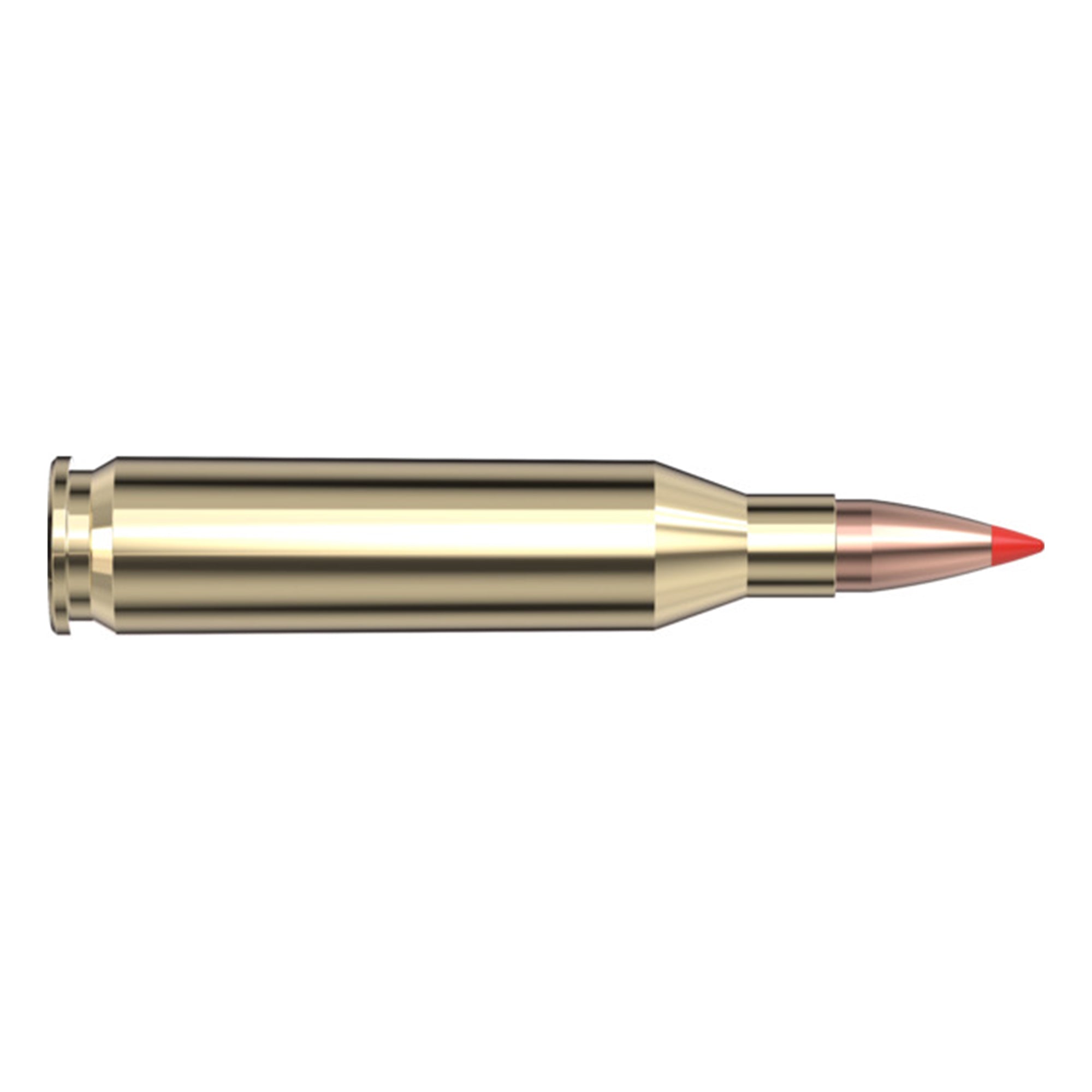 243 Win 58gr V-Max SPF