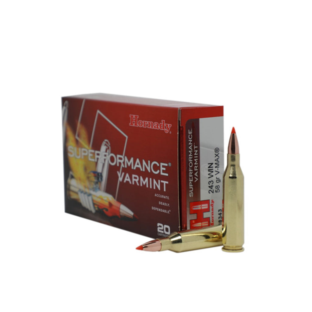 243 Win 58gr V-Max SPF