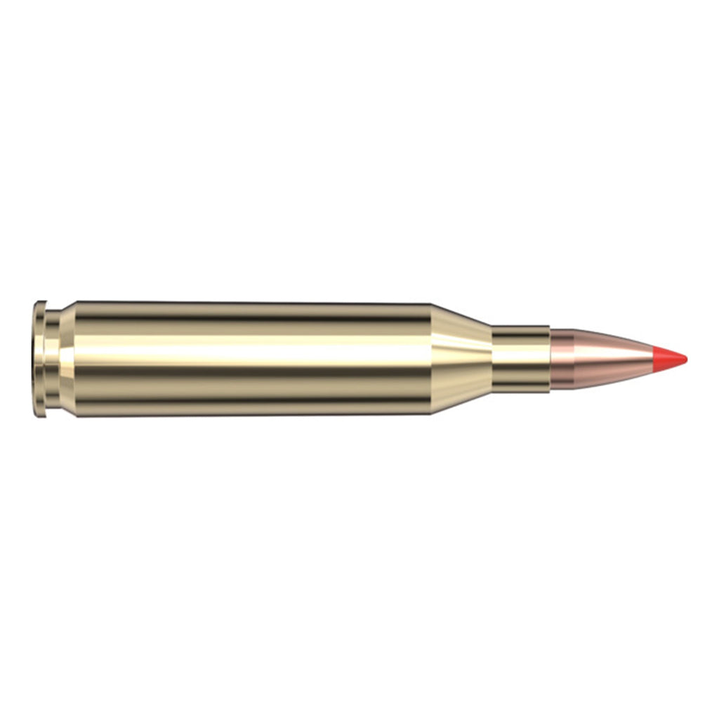 243 Win 75gr V-Max SPF