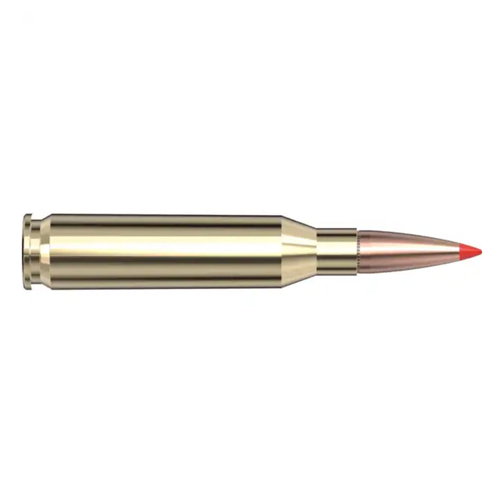 260 Rem 129gr SST