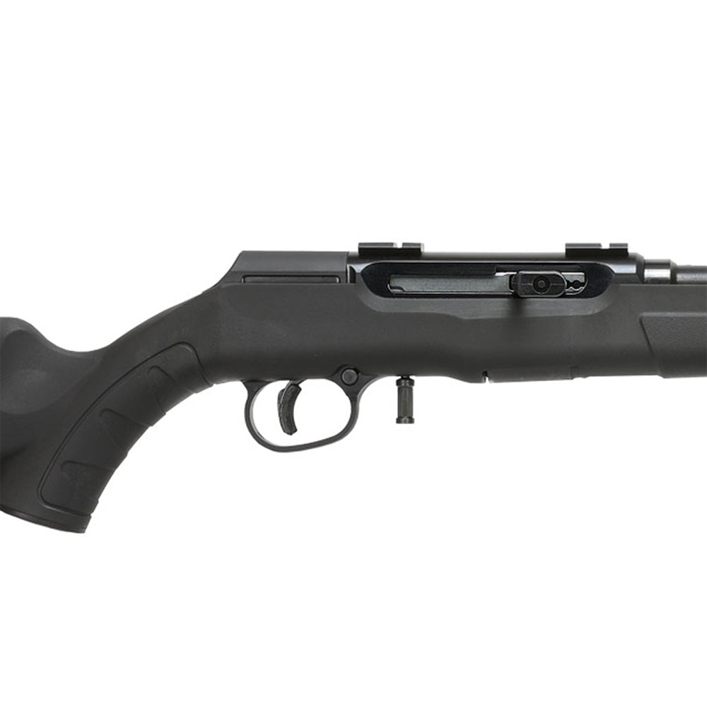 A22R Varmint